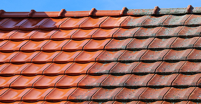 roof cleaning